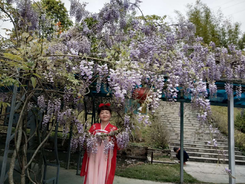 莉莉的第一张照片--古田征婚网