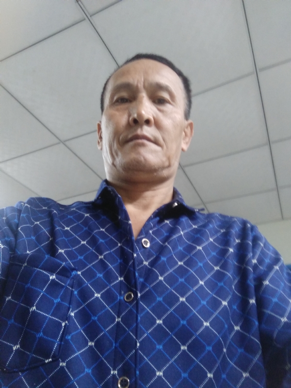 老树的第二张照片--古田征婚网