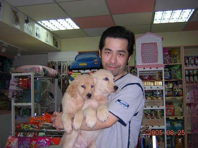 陈道明的第六张照片--古田征婚网